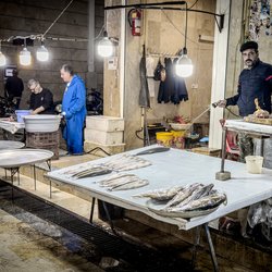 آخرین ساعت‌های اسفند؛ بازار ماهی فروشان انزلی