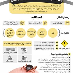 زنگ خطر شیوع تب کریمه کنگو در فصل گرما
