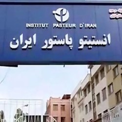 تجاوز به انستیتو پاستور ایران، تجاوز مستقیم به امنیت سلامت بین‌المللی است