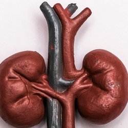 امکان پیش‌بینی خطر زوال عقل از طریق آزمایش ادرار