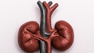 امکان پیش‌بینی خطر زوال عقل از طریق آزمایش ادرار