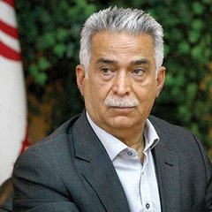 محمدرضا بهرامن