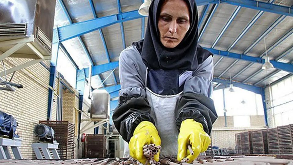 زنان؛ 22 درصد بیمه‌شدگان تأمین اجتماعی