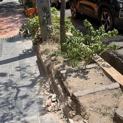 خطا در اجرا یا پروژه پاتوق‌زدایی از خیابان سنایی