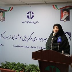 تاکید رئیس سازمان حفاظت محیط‌زیست بر ضرورت ایجاد مرکز پایش جنگل‌ها