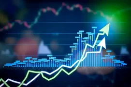 آسیب شناسی: تـــودرتویی نهادی