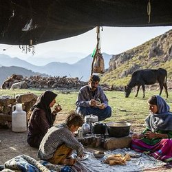 حکمرانی با هوش مصنوعی تبریک می‌گوید، روستا از فناوری جا می‌ماند