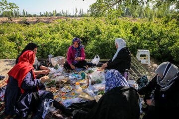 پوشش ۱۰۰ درصدی بیمه تامین اجتماعی مادران روستایی دارای سه فرزند و بیشتر