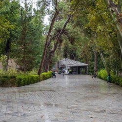 تهران میان بحران آب و نجات خاک؛ نسخه «پساب» روی میز مدیریت شهری