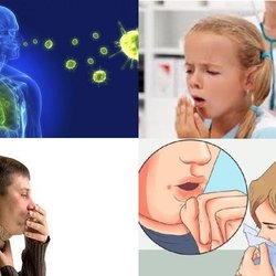 سل به رکورد بی‌سابقه ابتلا رسید