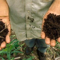 خطر بزرگ برای خاک ایران؛ میلیون‌ها تن کربن سالانه بدون بازگشت برداشت می‌شود