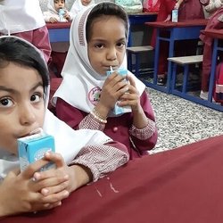 نحوه توزیع سراسری شیر در شرایط غیرحضوری بودن مدارس