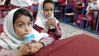 نحوه توزیع سراسری شیر در شرایط غیرحضوری بودن مدارس