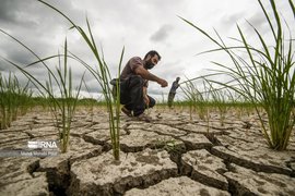 میان خشکی و سیلاب: مانیفستی برای نجات کشاورزی