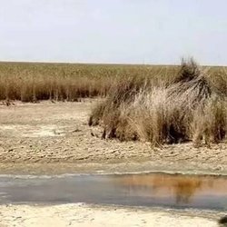 خشک شدن تالاب‌های تهران؛ تهدیدی برای تشدید گرد و غبار