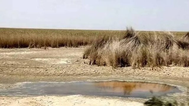 خشک شدن تالاب‌های تهران؛ تهدیدی برای تشدید گرد و غبار