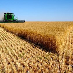 تغییر اقلیم و زنجیره شکننده امنیت غذایی در جهان، چالش‌های تغذیه در یک سیاره تب‌دار