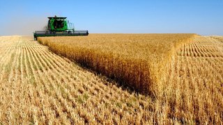 تغییر اقلیم و زنجیره شکننده امنیت غذایی در جهان، چالش‌های تغذیه در یک سیاره تب‌دار