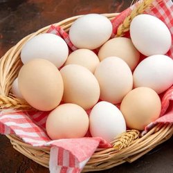 ۴۷ هزار تن تخم مرغ خرید حمایتی شد