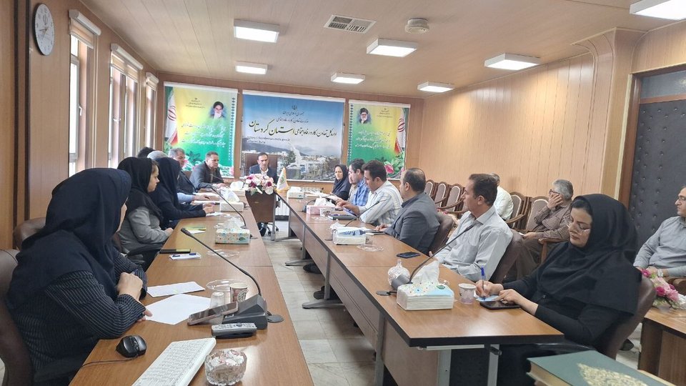 ثبت بیش از ۲۲ هزار طرح در سامانه رصد اشتغال کردستان