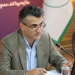 نایب‌ رییس انجمن جنگلبانی: منابع طبیعی باید وزارتخانه باشد