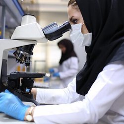 زنان تحصیل‌کرده چگونه از بازار کار دور می‌شوند؟