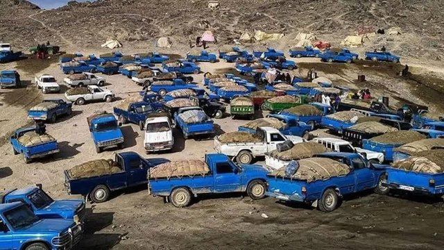 بیشترین قاچاق سوخت در این استان‌ها