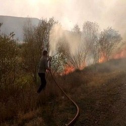 مهار آتش‌سوزی ۲۰ هکتاری در پارک ملی لار توسط محیط‌بانان