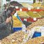 معیشت در مرز هشدار