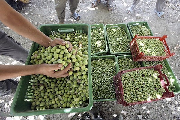 فاجعه گیلوان؛ وقتی یک مخزن ساده قربانی می‌گیرد