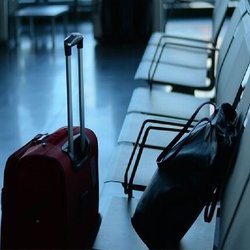 مهاجرت 1500 استاد دانشگاه در 5 سال؛ هفته‌ای یک استاد صنعتی شریف را ترک می‌کند