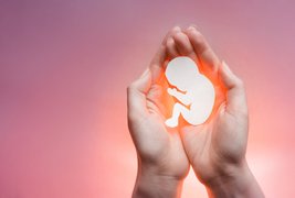 هیچ‌کس نمی‌داند دقیقا چه‌خبر است