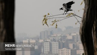 منطقه ۱۹ تهران آلوده ترین نقطه پایتخت شد