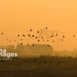 تهران زیرِ دود؛ چشم‌اندازهای جنوب شهر