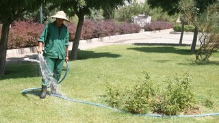 ساعت آبیاری فضای سبز تهران به شب موکول شد