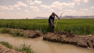 ماراتن ناپایدار کشاورزان اصفهانی برای بقا