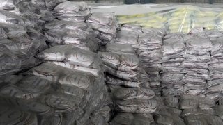 واردات ۷۴ هزار تن برنج برای تنظیم بازار