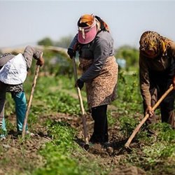 افزایش 80 درصدی مستمری بازنشستگان روستاها در سال آینده