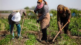 حمایت بیمه‌ای دولت از روستاییان و عشایر