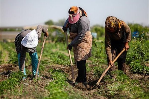 مشاغل روستایی زیر سایه فقر، نابرابری و بحران اقلیم