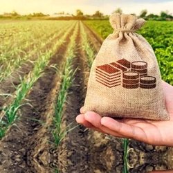 جهش ۶۰۰ میلیاردی در کشاورزی ایران؛ حمایت صندوق کارآفرینی امید از کشاورزی قراردادی