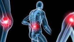 دسترسی محدود به فیزیوتراپی در مناطق محروم؛ عامل مهم تهدید سلامت عضلانی