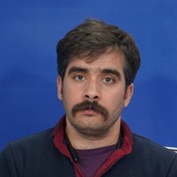 سید حسین موسوی