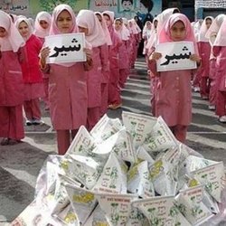 شیر برای همه؟