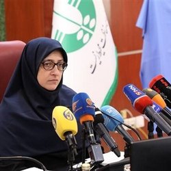 معاون محیط زیست انسانی سازمان حفاظت محیط زیست: اجازه نداریم به تغییر اقلیم فانتزی نگاه کنیم