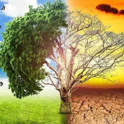 هشدارهای اقلیمی در سال ۲۰۲۵؛ از موج‌های گرما تا تخریب اکوسیستم‌ها