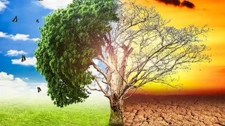 هشدارهای اقلیمی در سال ۲۰۲۵؛ از موج‌های گرما تا تخریب اکوسیستم‌ها