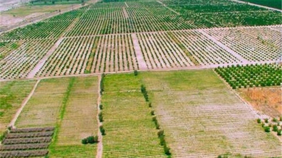 دعوت وزارت کار برای تقویت زنجیره ارزش محصولات کشاورزی