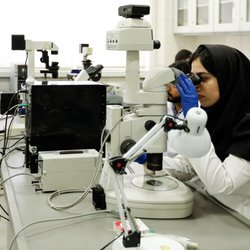 میکروب‌های مقاوم، قاتلان جدید در بیمارستان‌ها