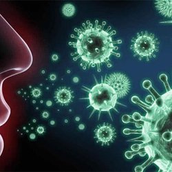 آنفلوآنزا سالانه ۷۰۰ هزار قربانی می‌گیرد